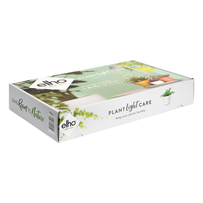 plant light care 11cm glacier grey